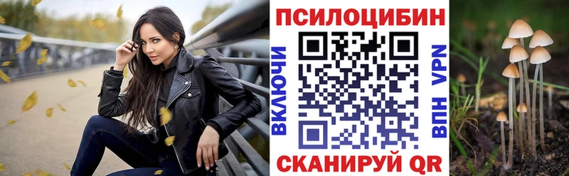 Купить где  Палласовка  Псилоцибиновые грибы Cubensis 
